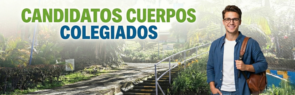 candidatos cuerpos colegiados