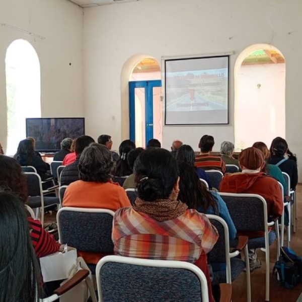 Viva Perú (4)